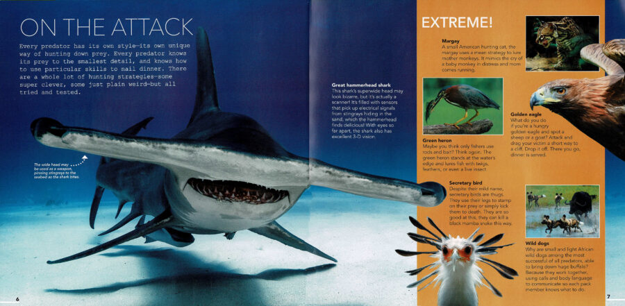 Predator Face Off Book Plus Scholastic Book Clubs