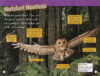 National Geographic Kids™: Owls 5-Book Pack