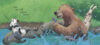 Karma Wilson’s Bear and Friends Pack
