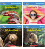 Nonfiction Phonics Readers Set 2: Long Vowels, Digraphs & More (Single-Copy Set)