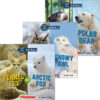 Animals in Extreme Weather 3-Pack