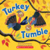 Silly Turkey 4-Pack