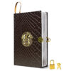 Bronze Dragon Diary