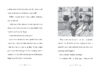 Forever Fairies: Coco Twinkles