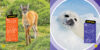 National Geographic Kids™: Cutest Animals on the Planet