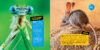 National Geographic Kids™: Cutest Animals on the Planet