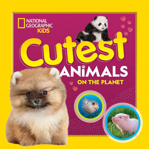 National Geographic Kids™: Cutest Animals on the Planet (Paperback ...