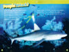 National Geographic Kids™ Under the Sea 5-Pack