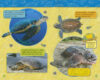 National Geographic Kids™ Under the Sea 5-Pack