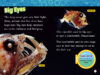 National Geographic Kids™ Under the Sea 5-Pack