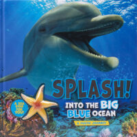 Splash! Into the Big Blue Ocean: A Photo Journey with Starfish Squishy