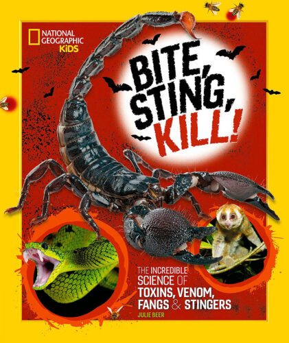 Killing Bites A Waste of Time - HubPages