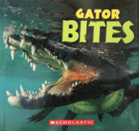 Gator Bites with Necklace