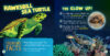 Glow-in-the-Dark Sea Creatures with Squishy