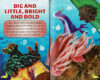 Sea Slugs with Squishy