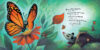 Señorita Mariposa (Miss Butterfly)