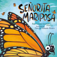 Señorita Mariposa (Miss Butterfly)