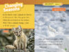 National Geographic Kids™ Animal Reader Collection (Early Readers)