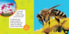 National Geographic Kids™ Explore My World: Honey Bees 5-Book Pack