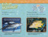 National Geographic Kids™: Dolphins 5-Book Pack