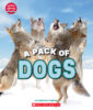 Learn About Animals Pack