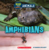 Big and Small Animals Pack