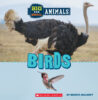 Big and Small Animals Pack