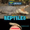 Big and Small Animals Pack