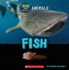 Big and Small Animals Pack