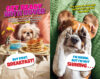 Dogs Rule! Pics, Memes, and Activities
