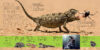 Reptile Face-Off! with Replica Tooth and Claw