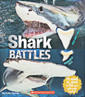 Shark Battles with Shark Teeth