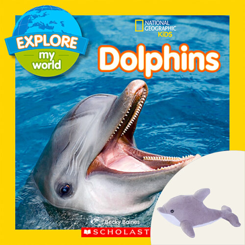 The curious reasons why dolphins play