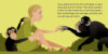 Who Is Jane Goodall? A Who Was? Picture Book