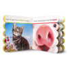Animal Friends Board Book Pack