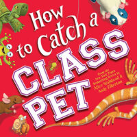 <br>How to Catch a Class Pet