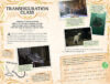 Harry Potter™ Spell and Potion Book with Wand