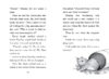 Flat Stanley’s Adventures in Classroom 2E: Class Pet Surprise