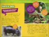 National Geographic Kids™ Predators Pack (Early Readers)