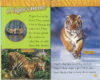National Geographic Kids™ Predators Pack (Early Readers)