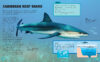 Discovery™: Shark Week™