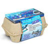 Shark Eggs Dig Kit
