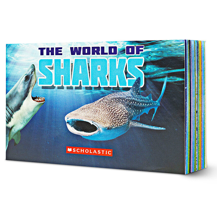 Shark Eggs Dig Kit (Activity Kit) | Scholastic Book Clubs