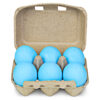 Shark Eggs Dig Kit