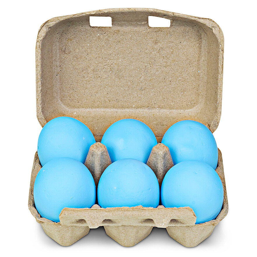 Shark Eggs Dig Kit (Activity Kit) | Scholastic Book Clubs