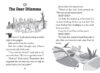 Branches Chapter Book Collection: Grades 1&ndash;3
