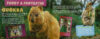 Cutest Animals of All Time! with Squishy