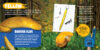 Wild Rainbow: Animals of Every Color with Squishy