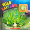 Wild Rainbow: Animals of Every Color with Squishy