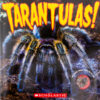 Tarantulas! with Necklace